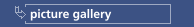 picture gallery