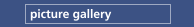 picture gallery